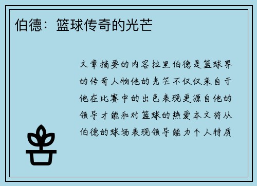 伯德：篮球传奇的光芒